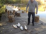 Rybalka u Borodina (Moscow Region, Domodedovo, Vostryakovo Subdistrict, Ryabinovaya Street), hunters and fishers clubs