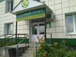 Apteka (Verkhne-Mullinskaya ulitsa, 72А), pharmacy