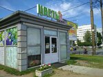 Магазин цветов (Ispytateley Avenue, 4Б) ، محل زهور