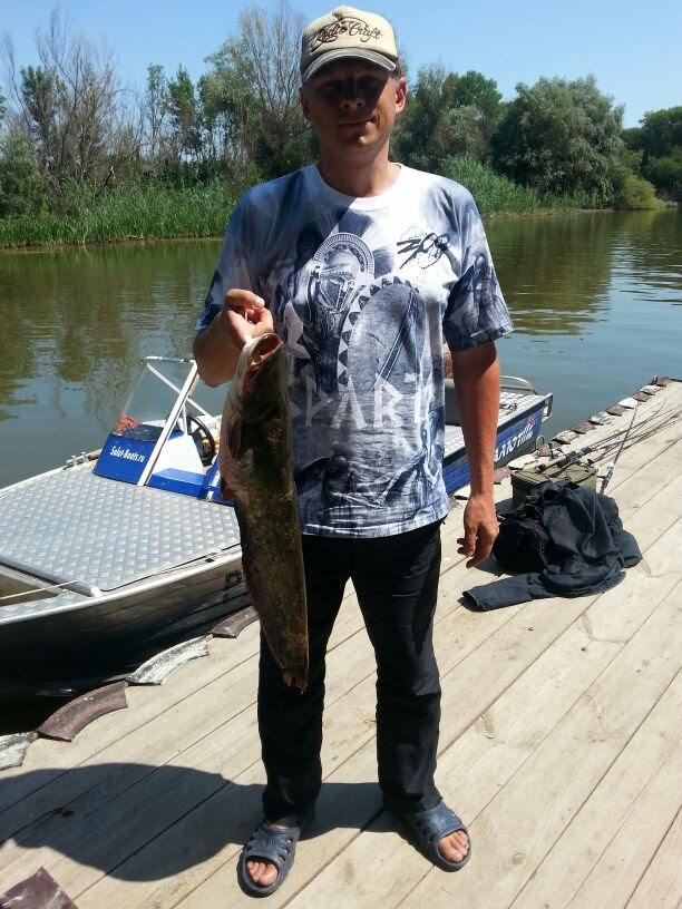 Фото Лесная