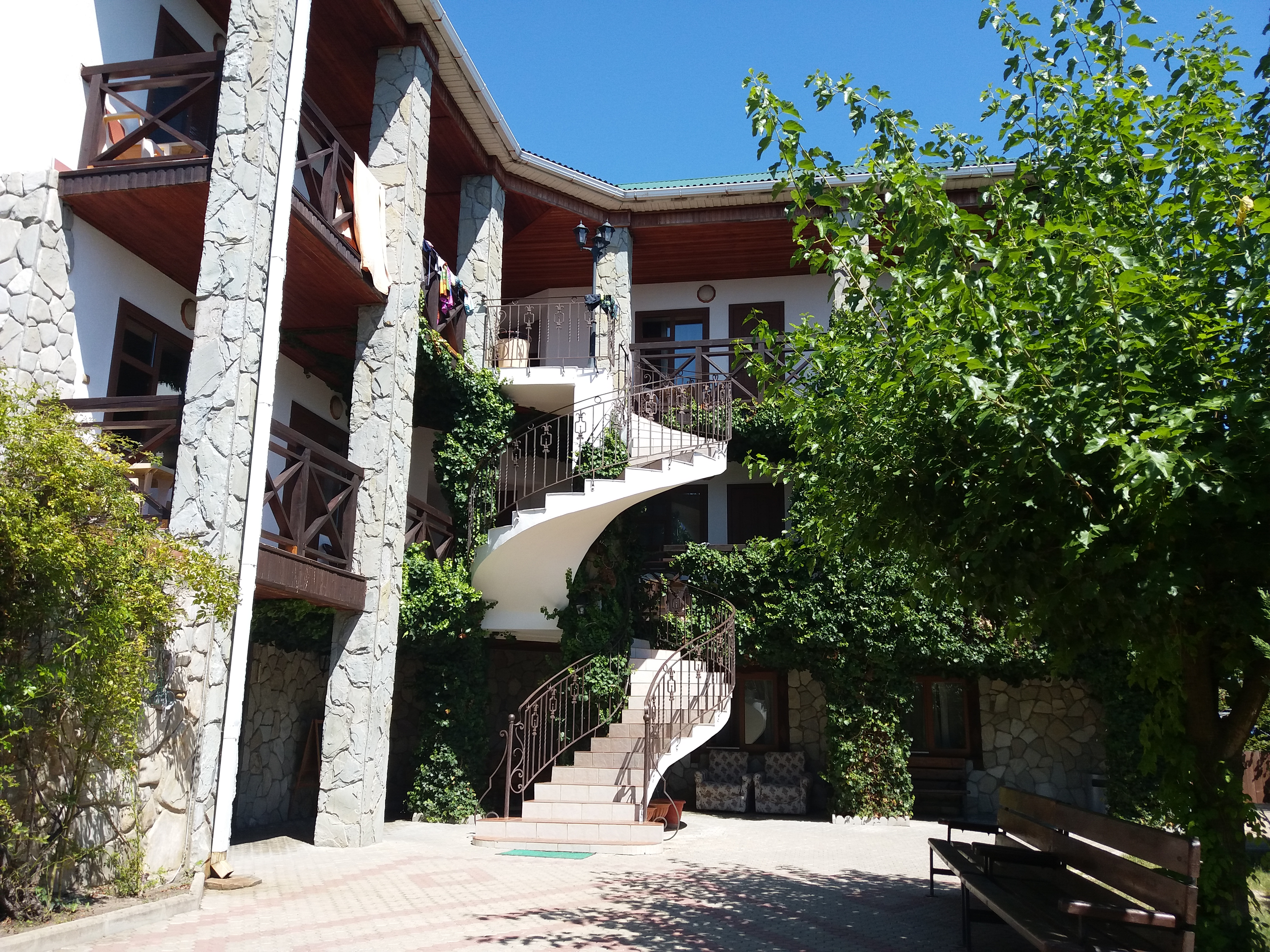 Фото Альбатрос