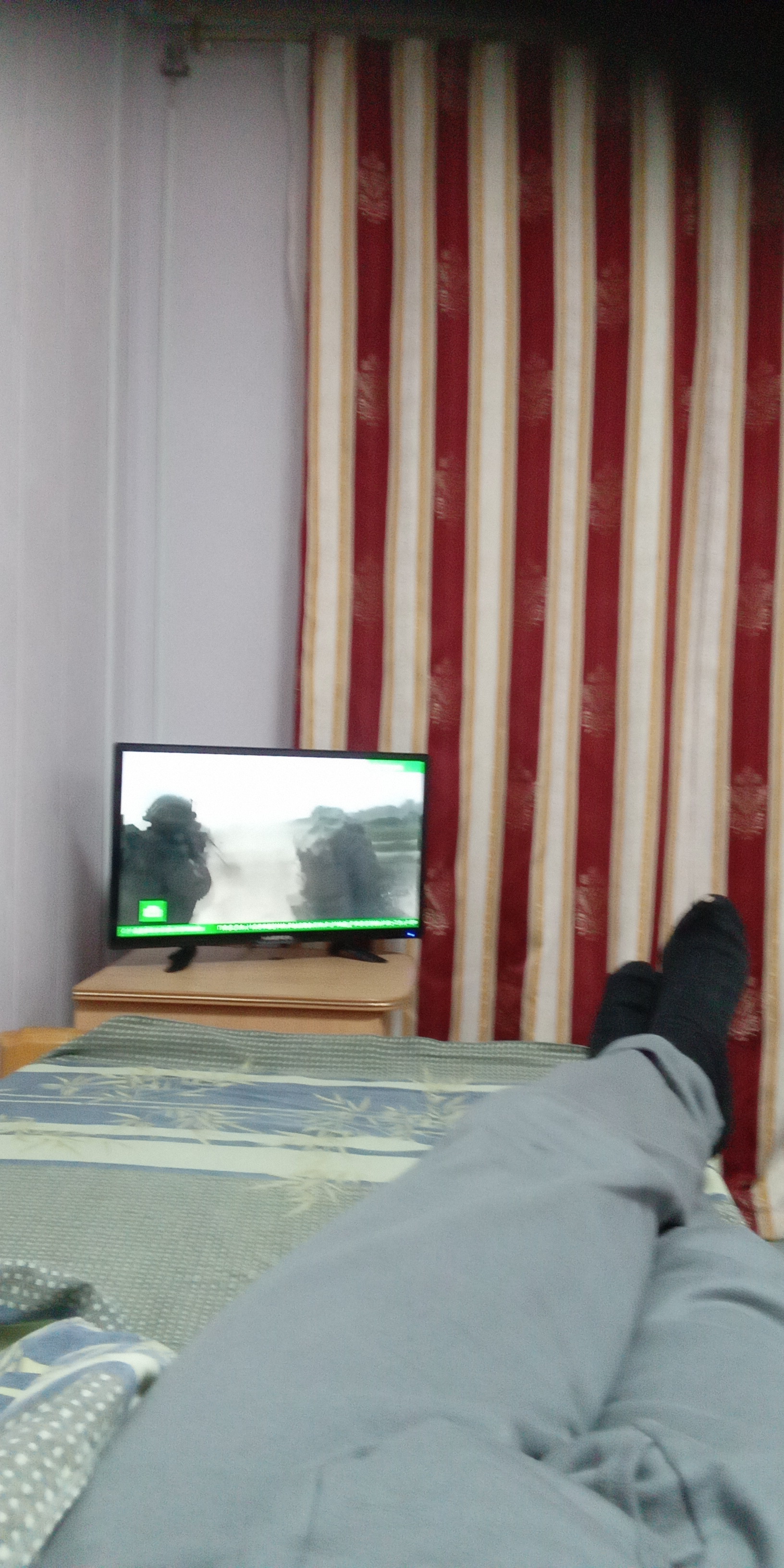 Фото Березка