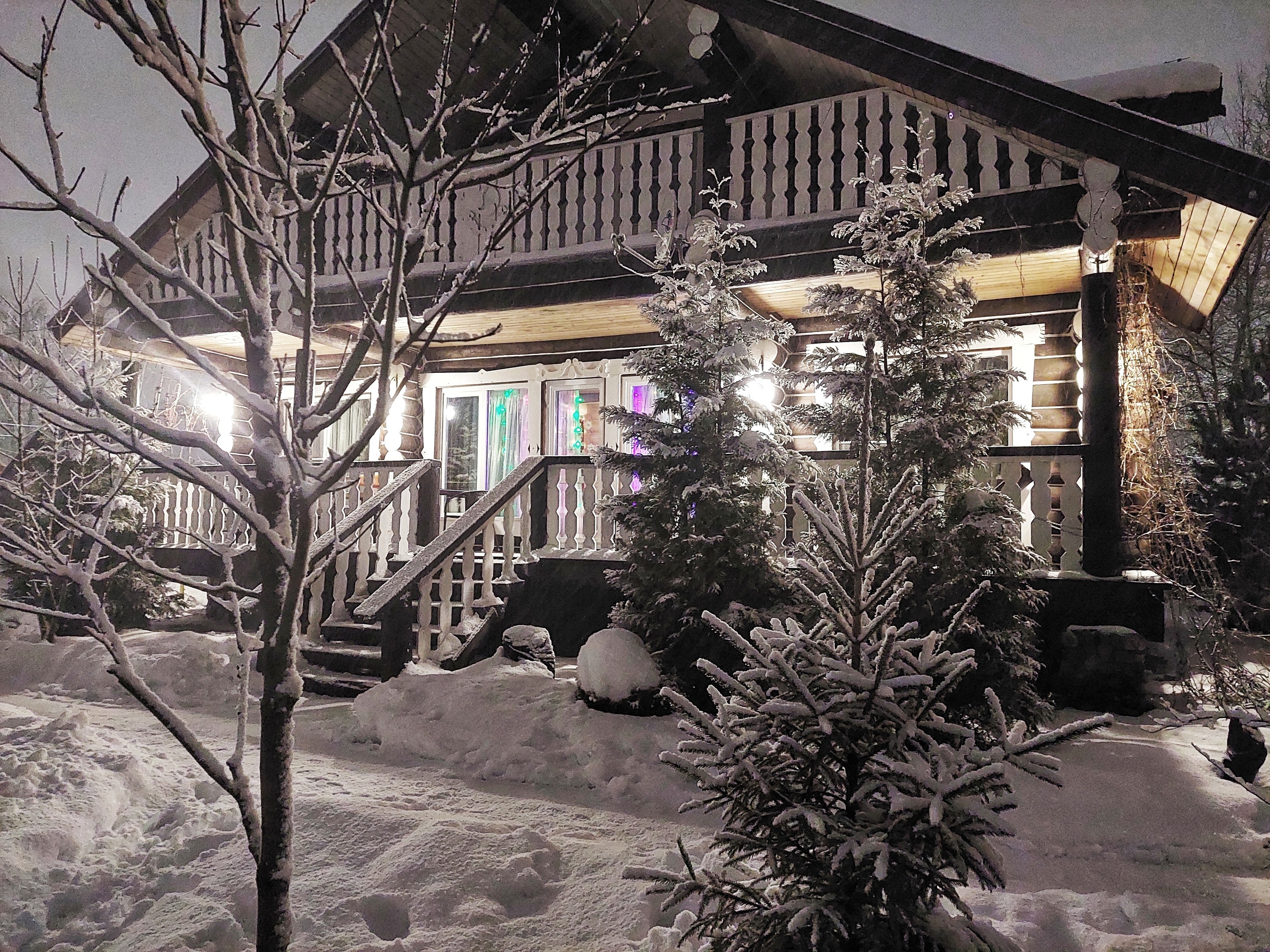 Фото Сорока