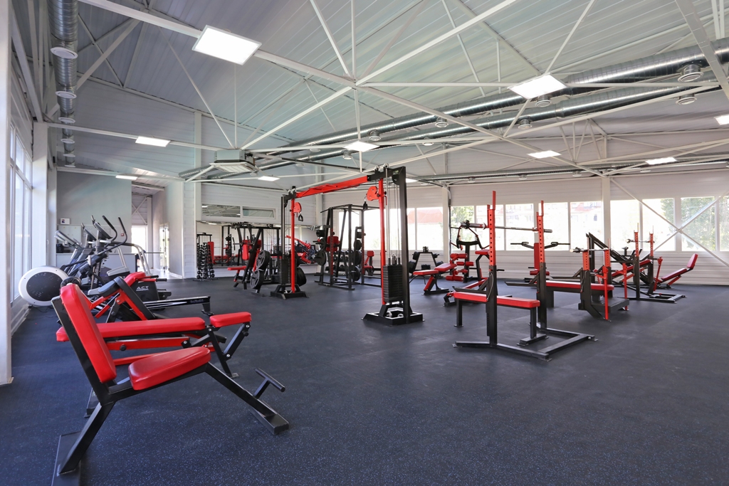 Фото Медведь Resort