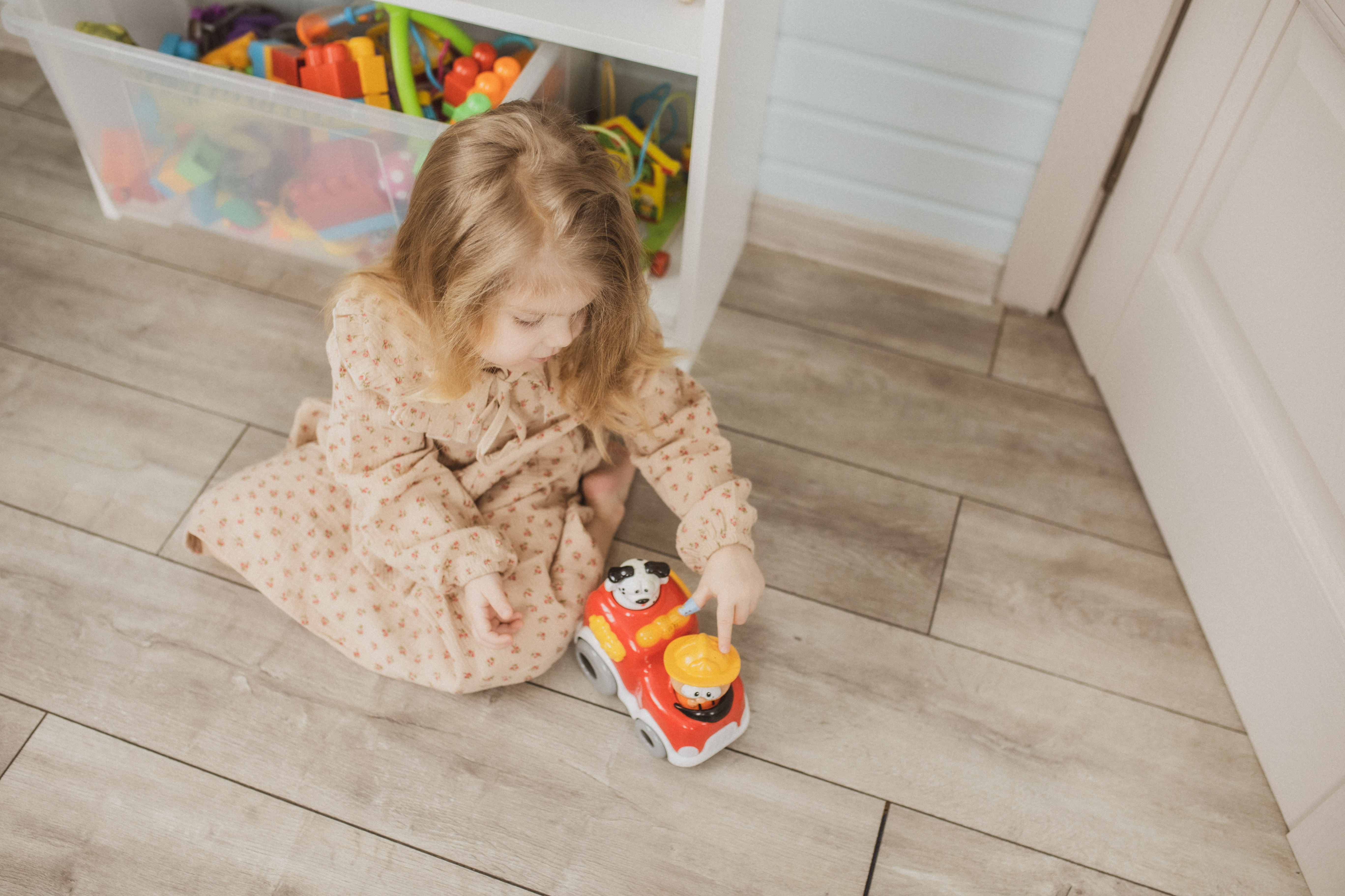 Фото Синяя синица