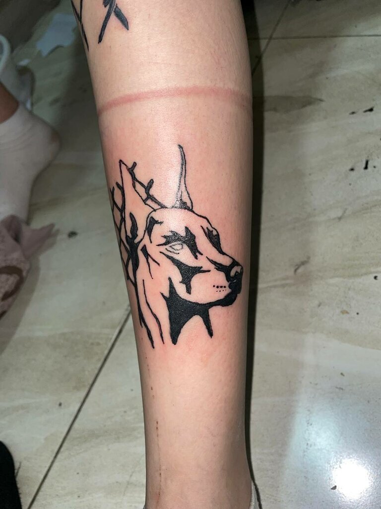 Hookah lounge Qёln.uz, Tashkent, photo