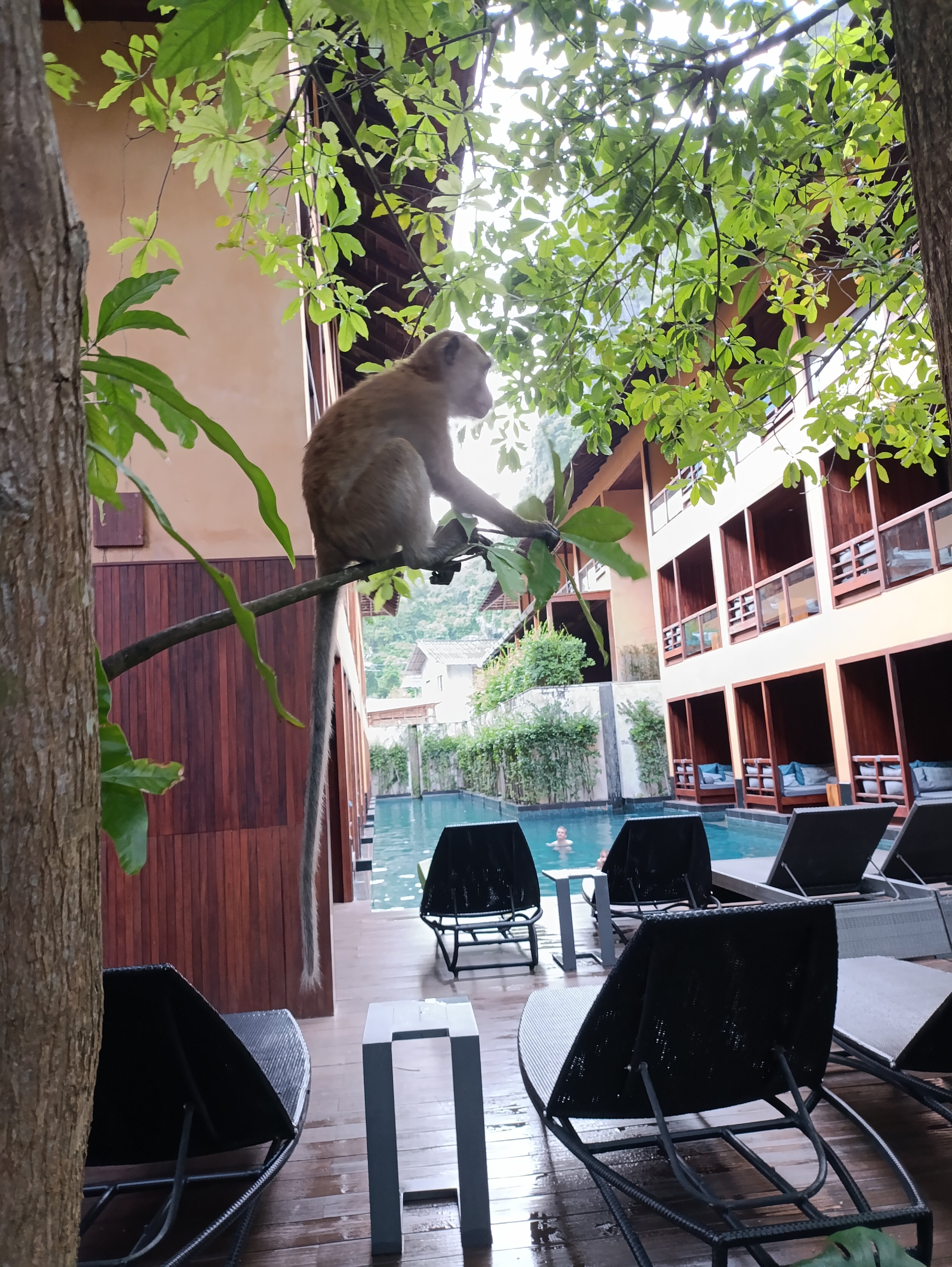 Фото Avatar Railay