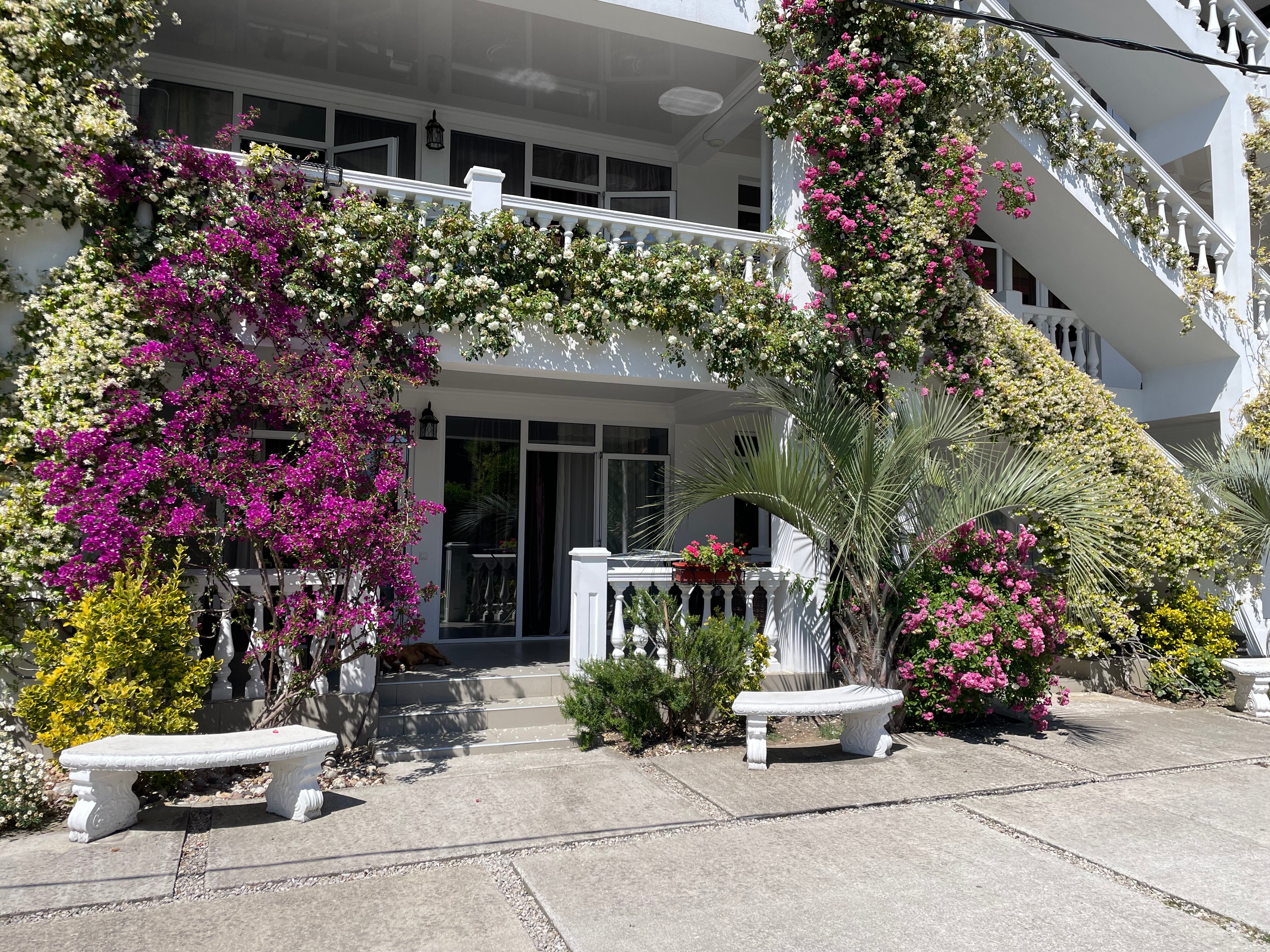 Фото Hotel Phanakopi