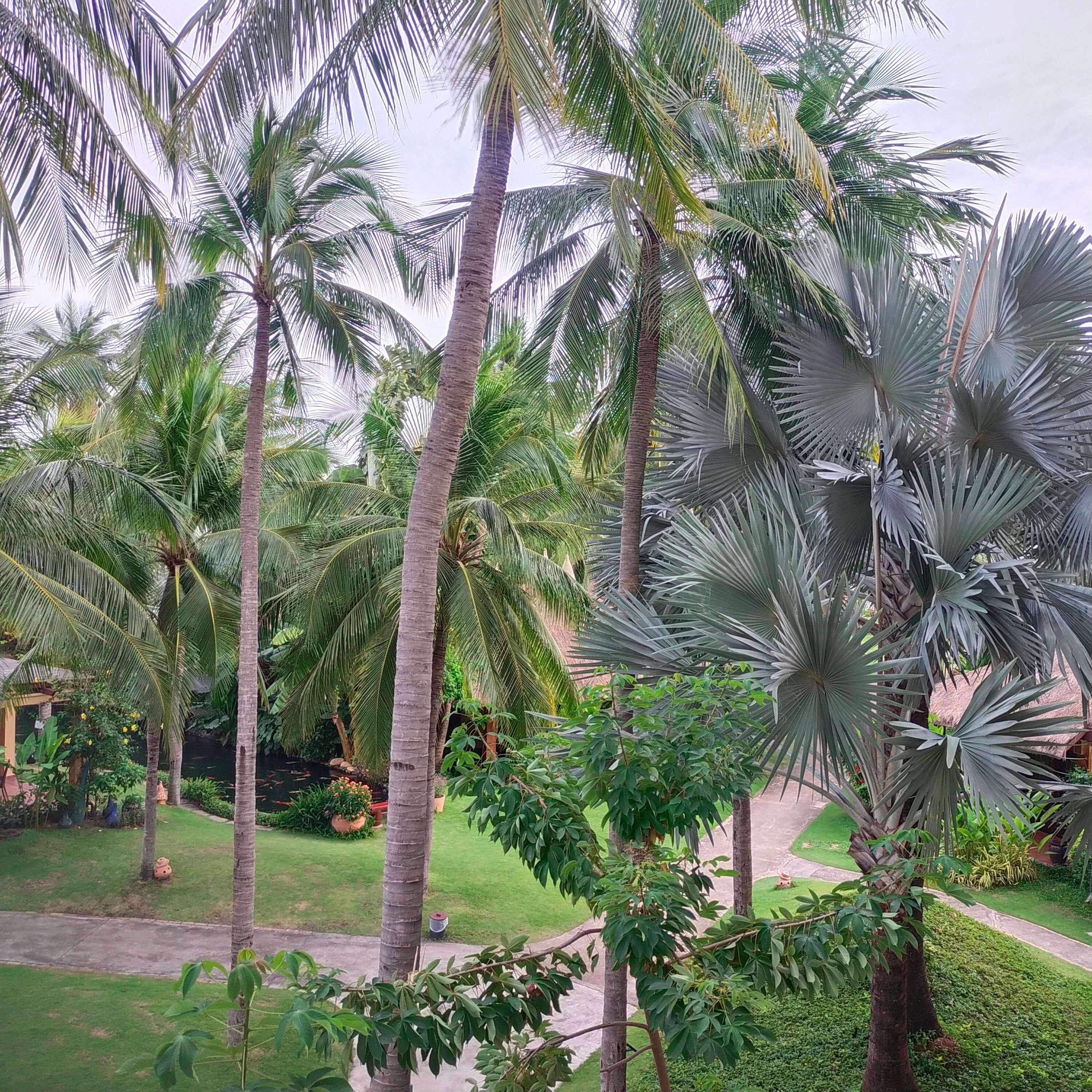 Фото Terracotta Resort & SPA