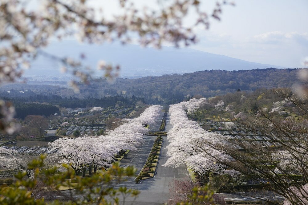 Фото Fuji Speedway Hotel, The Unbound Collection by Hyatt