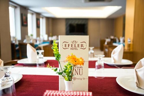 Гостиница Efeler Hotel в Айдыне