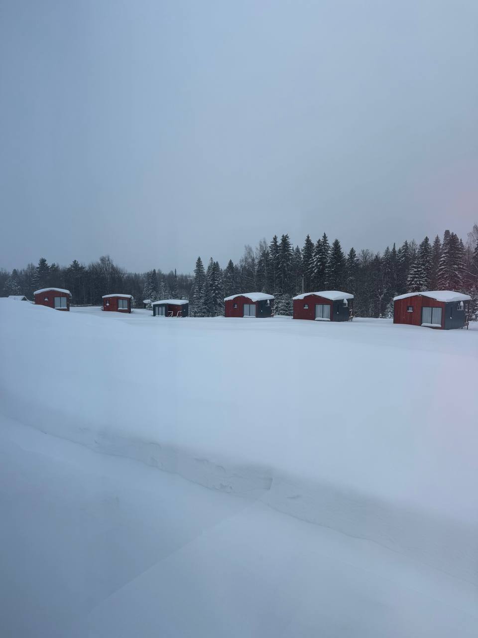 Фото Липовый цвет