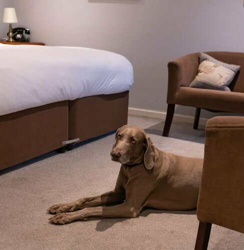 Гостиница White Hart Inn в Уэлсе