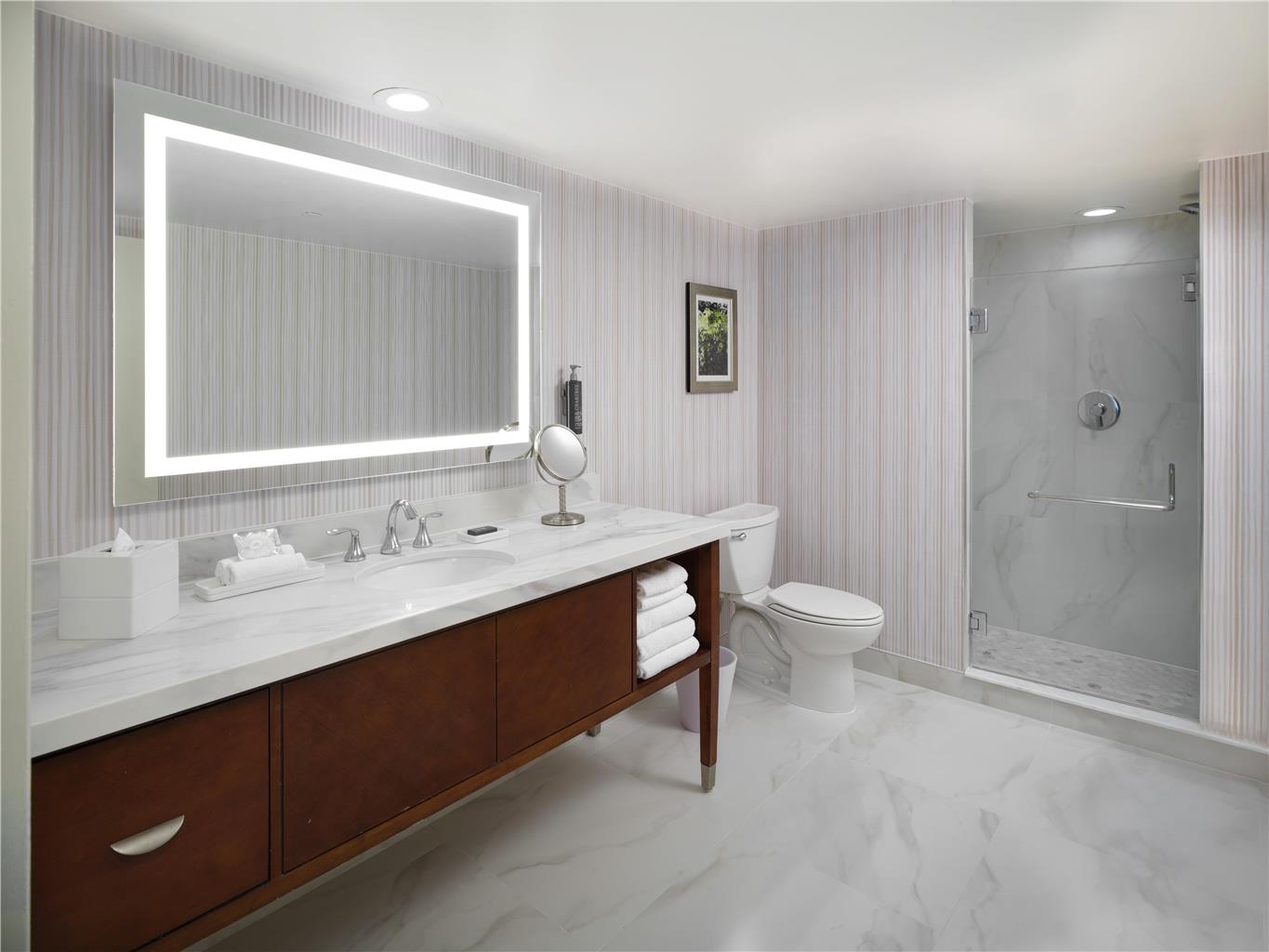 Фото Hilton Washington Dc/Rockville Executive Meeting Center