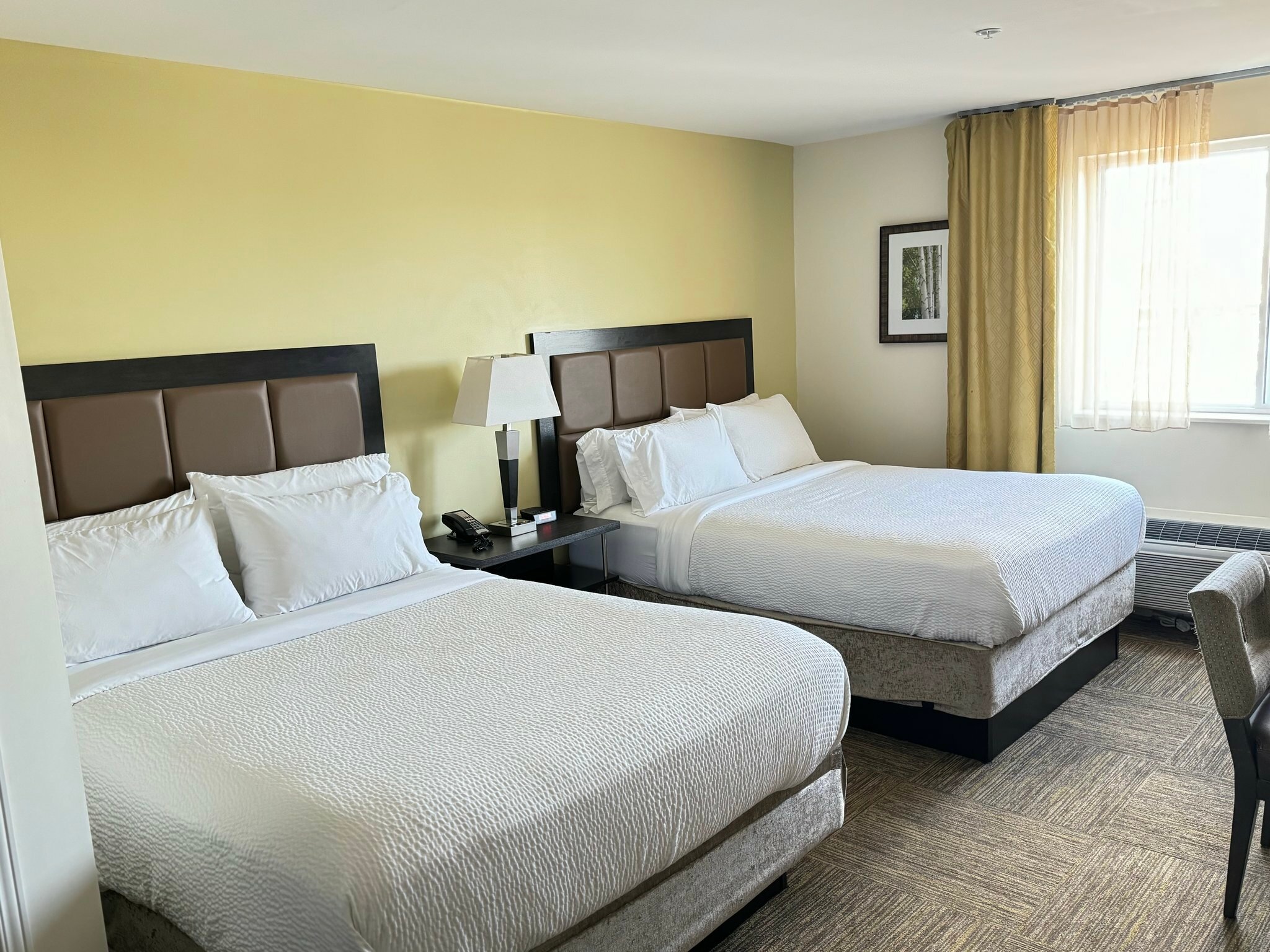 Фото Candlewood Suites Chester - Philadelphia International Airport, an Ihg Hotel