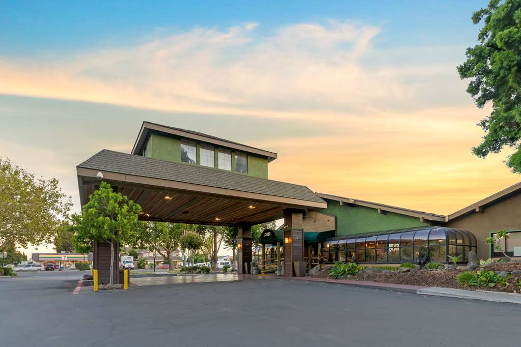 Фото Best Western Plus Forest Park Inn