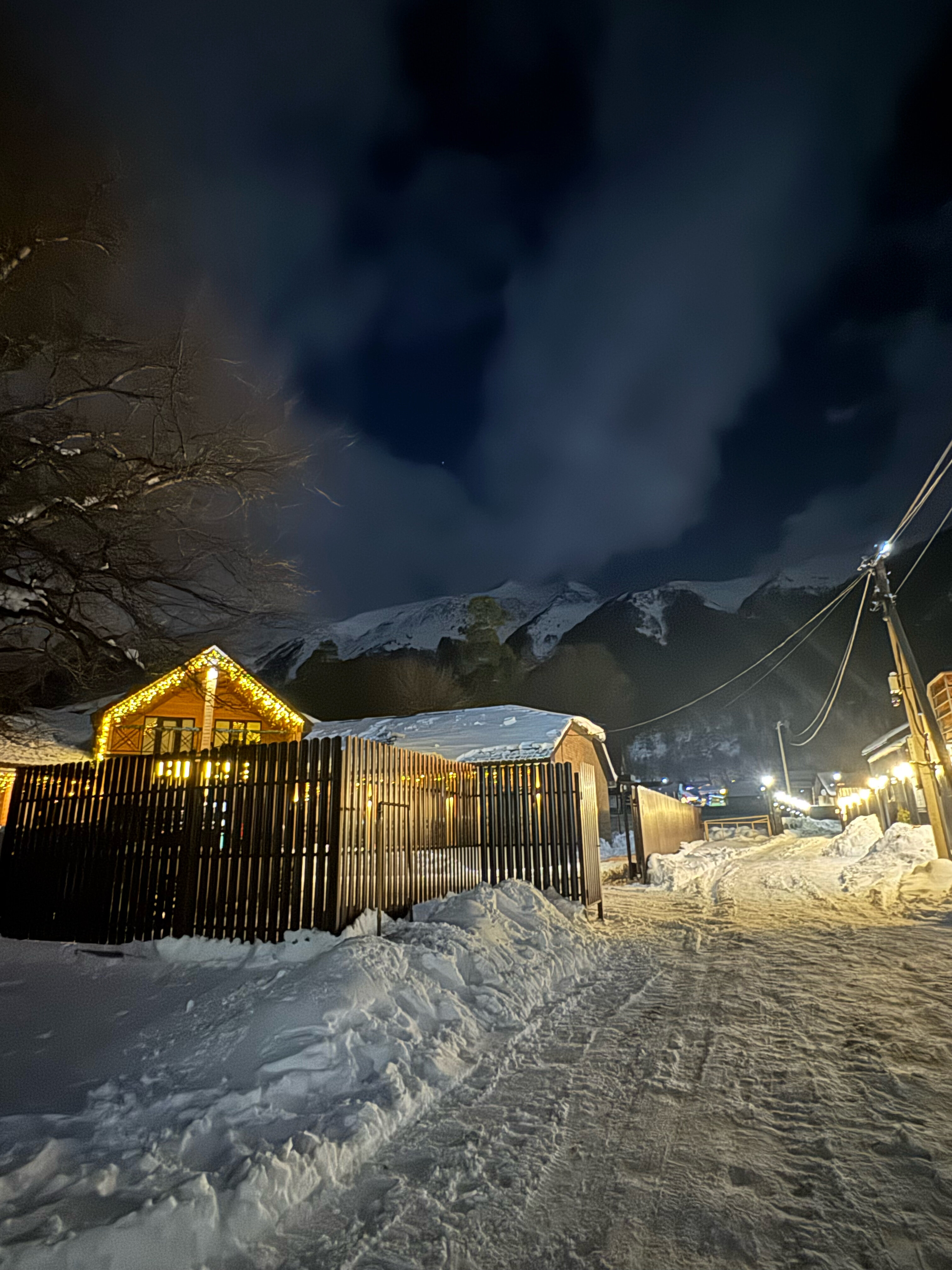 Фото КипариС