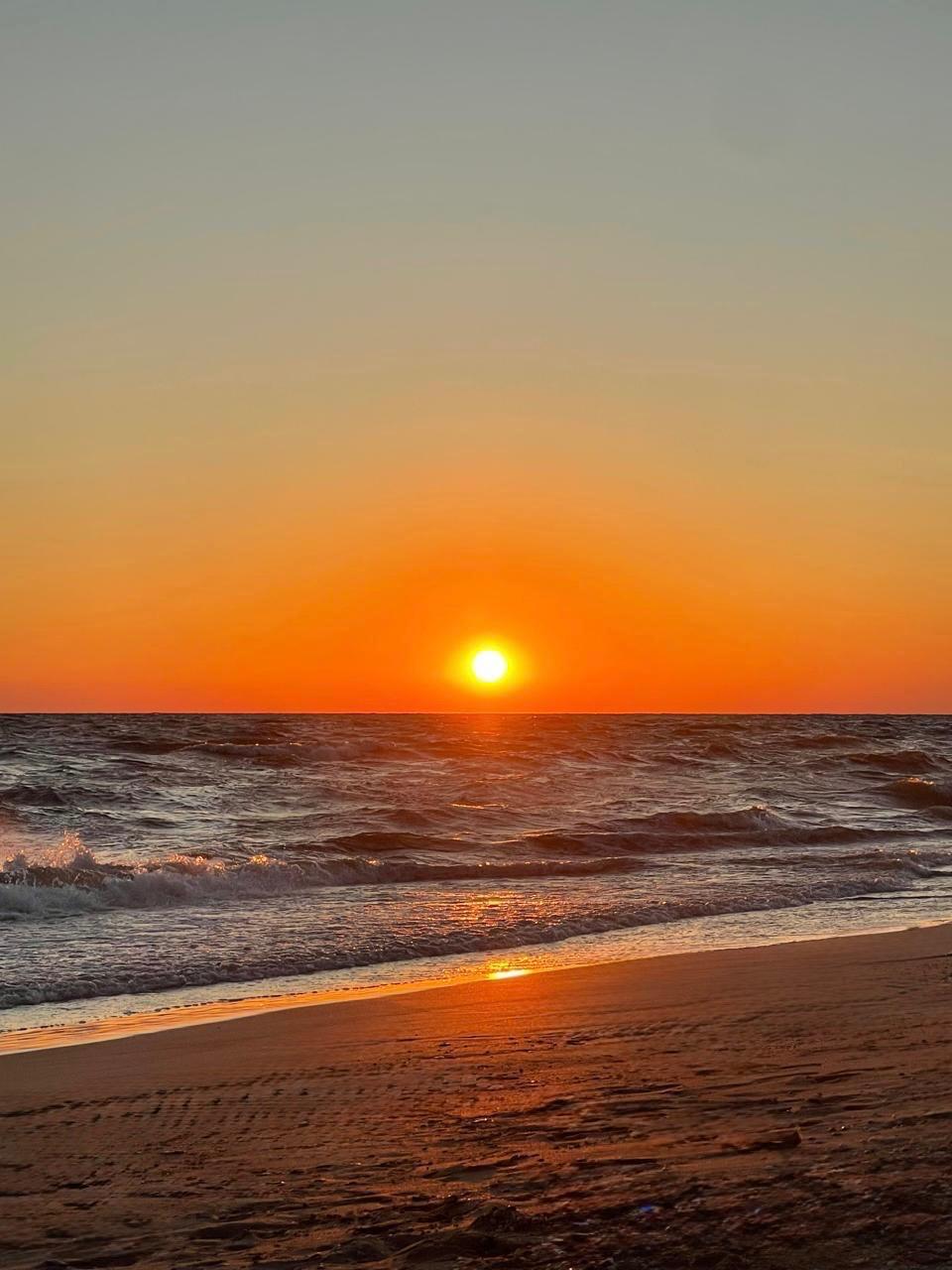 Фото Бельведер