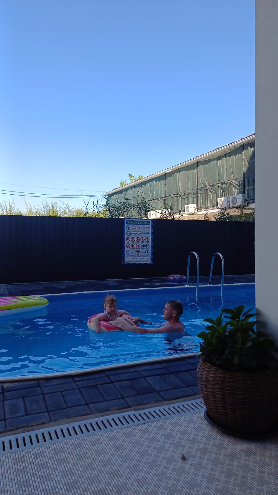 Фото Филоксения