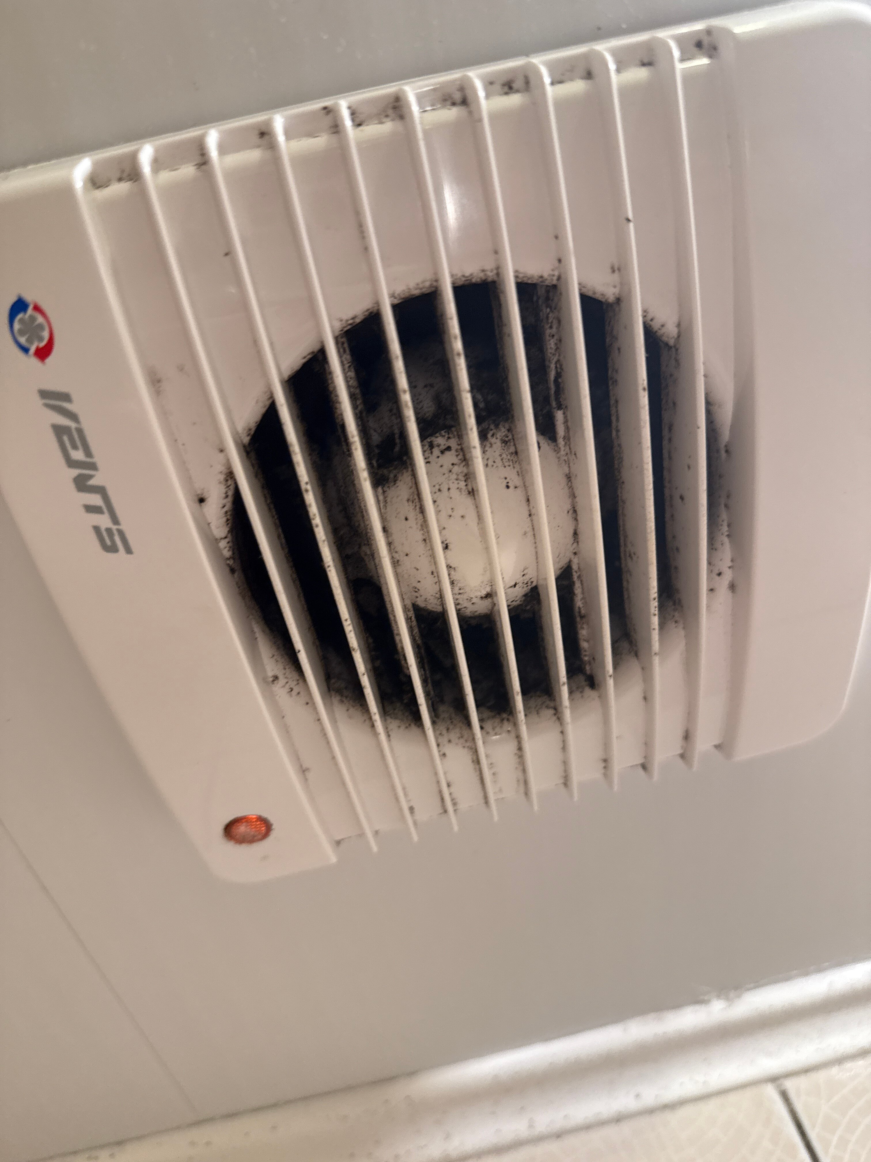 Фото Берёзовая Роща