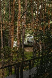 Эко-клуб Шышки