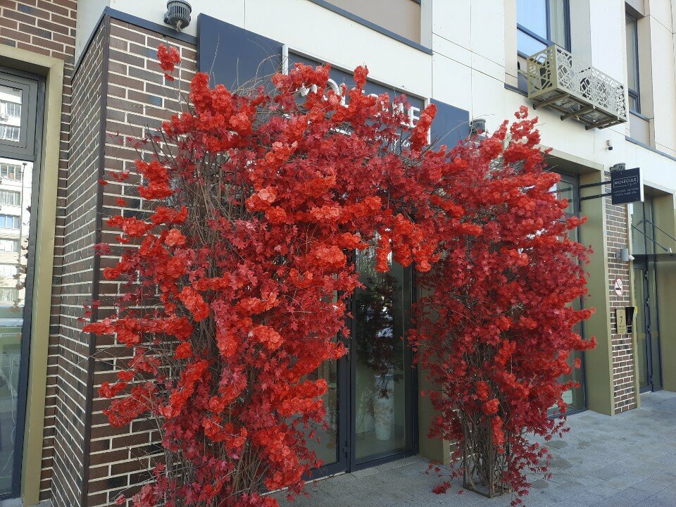 Beauty salon Molecule, Chimkent, photo