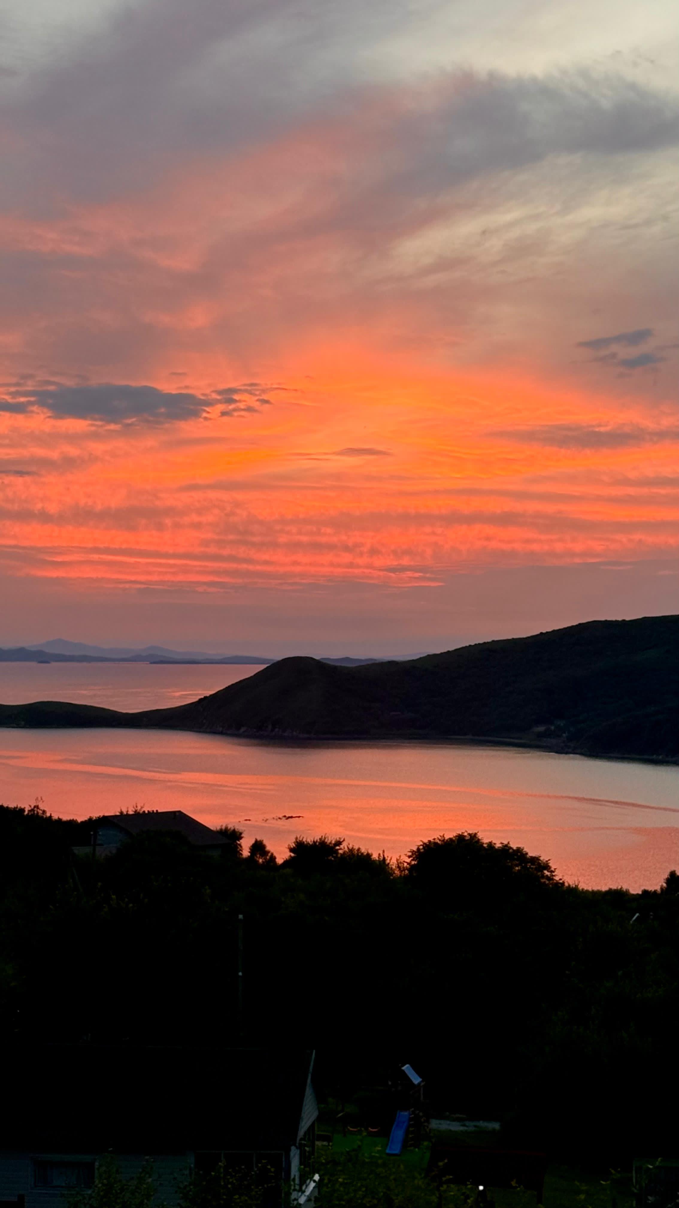 Фото Ромашка-Витязь