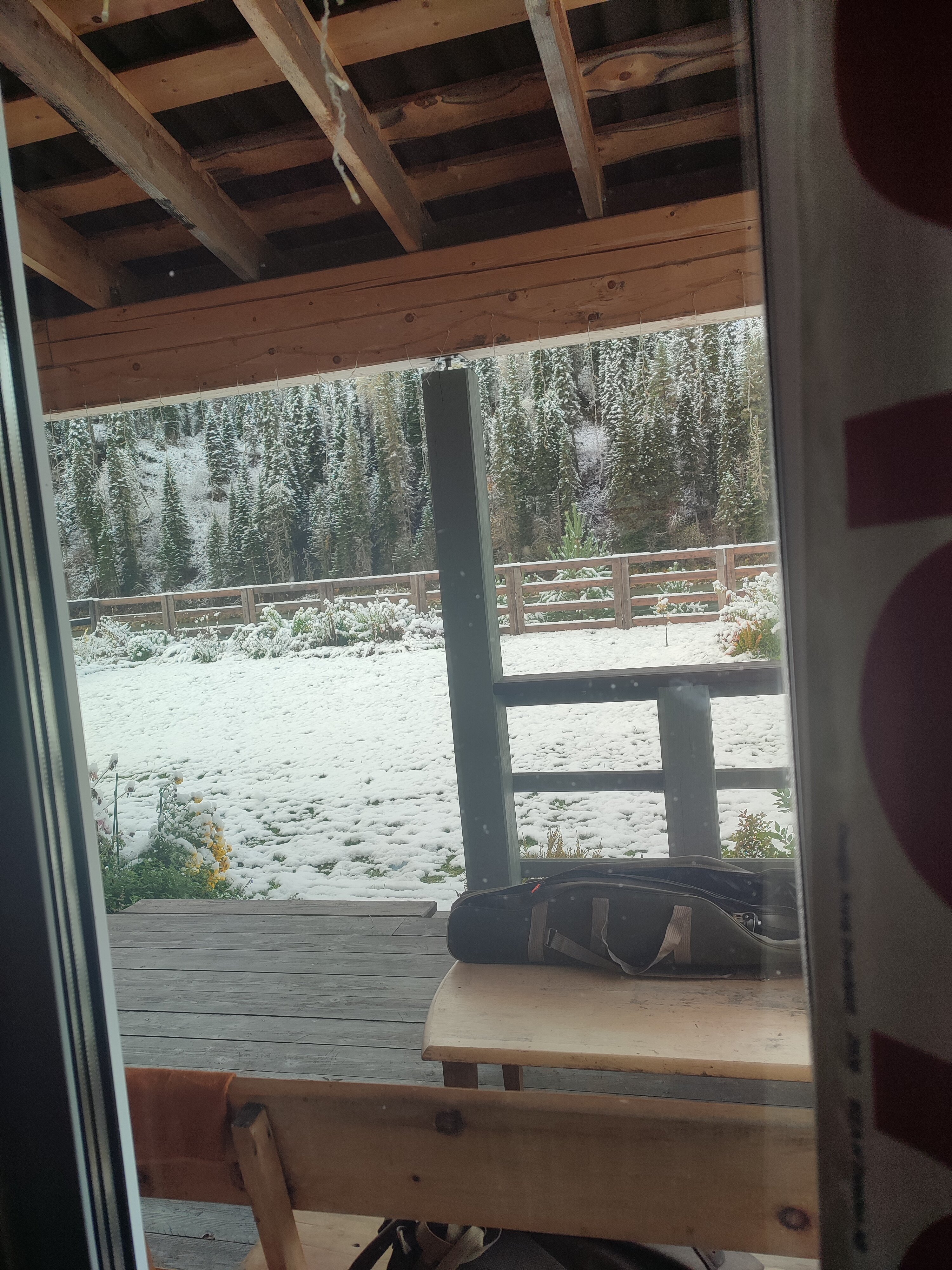 Фото Бия Браво