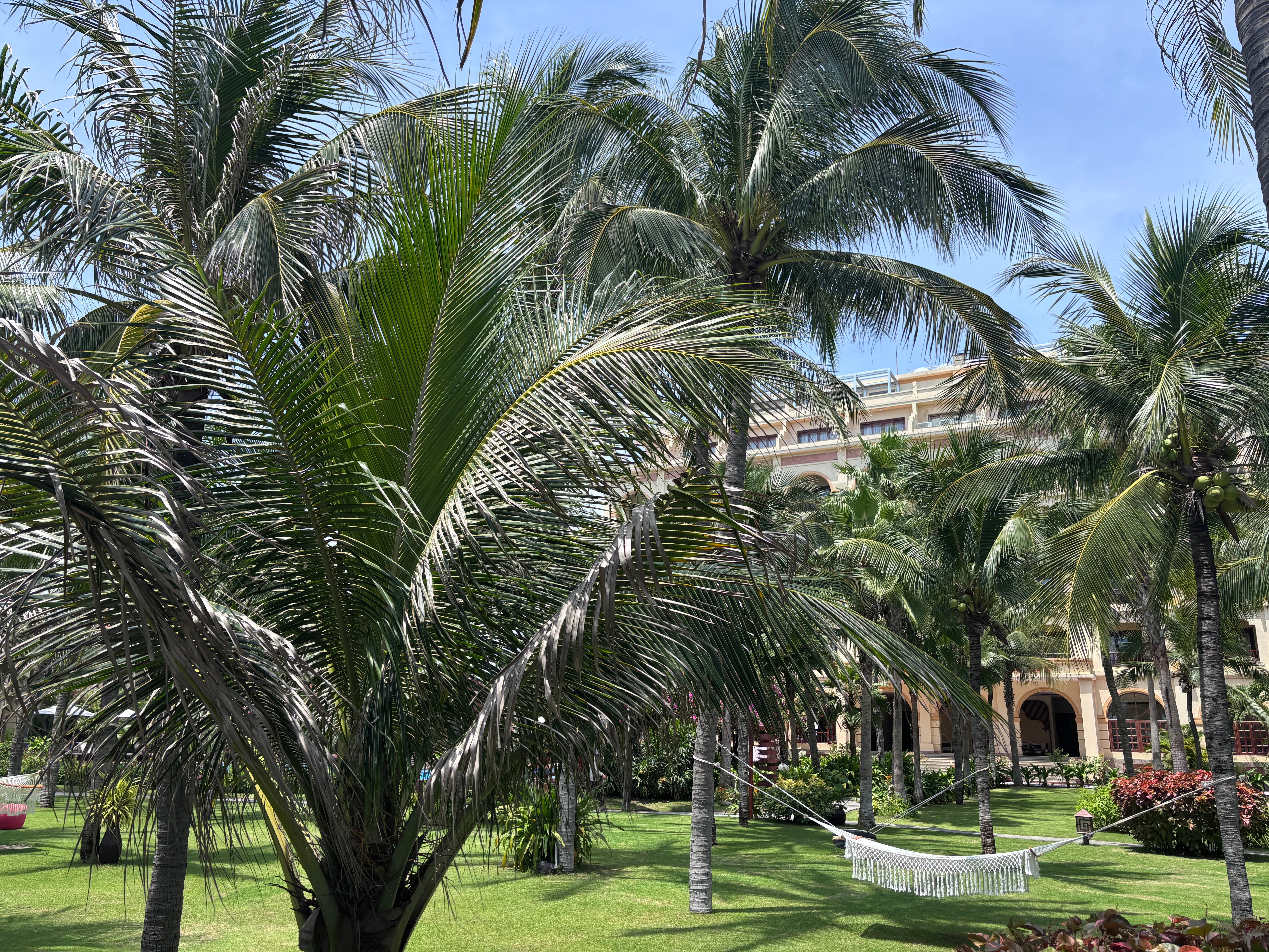 Фото Sunny Beach Resort