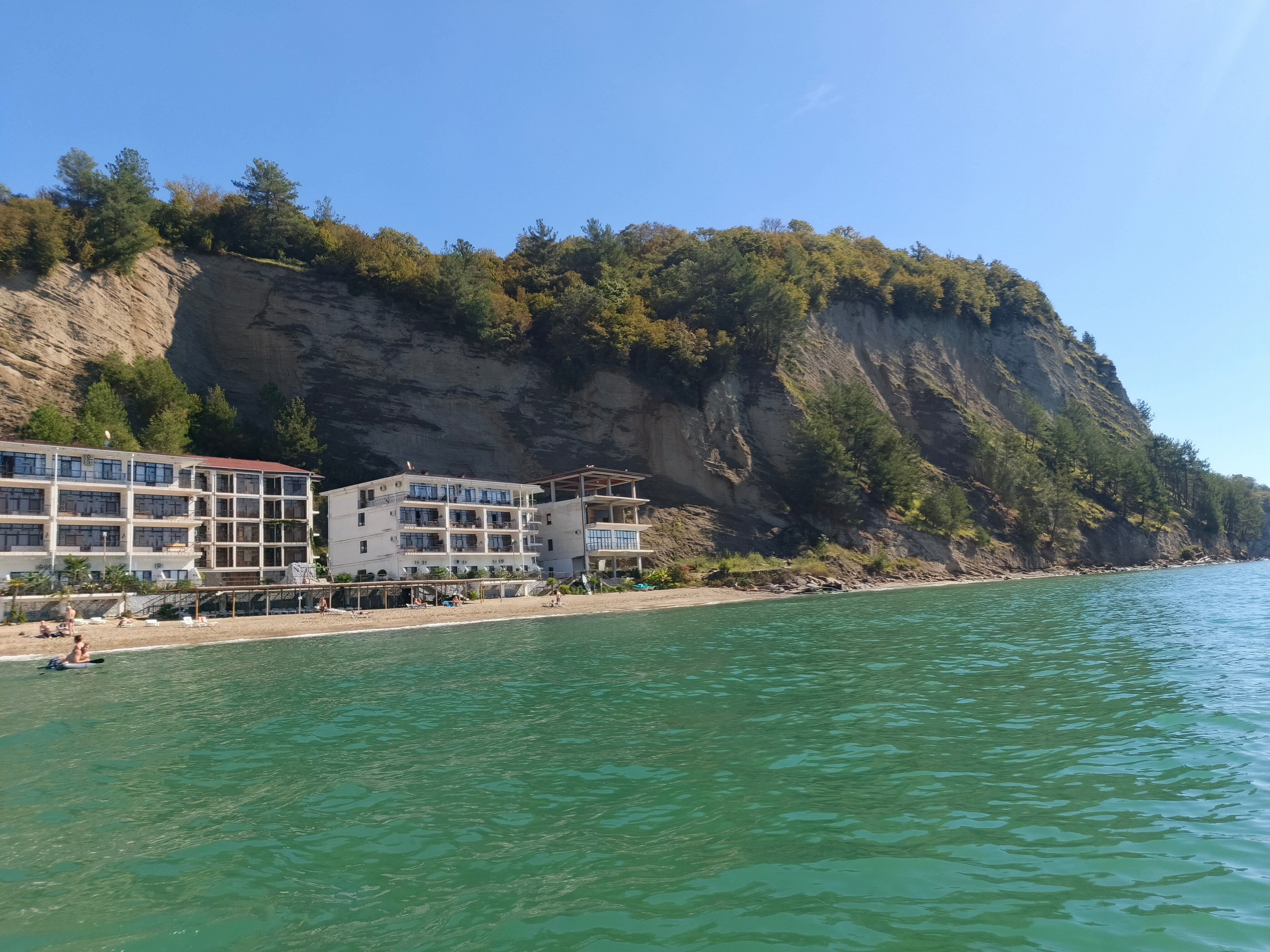 Фото Арбика