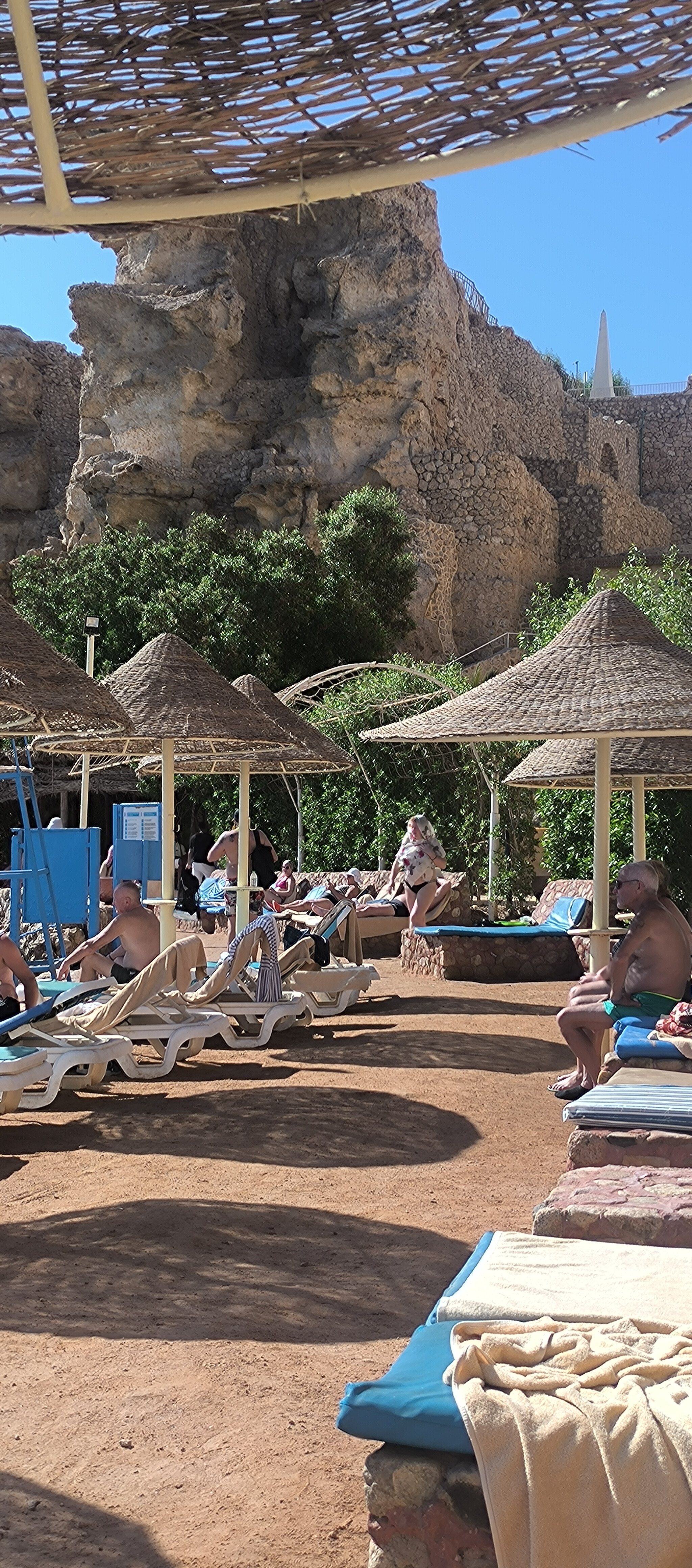 Фото Dreams Vacation