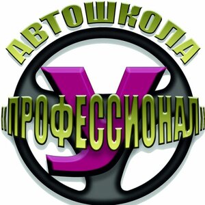 Логотип автошколы «Автошкола Профессионал»