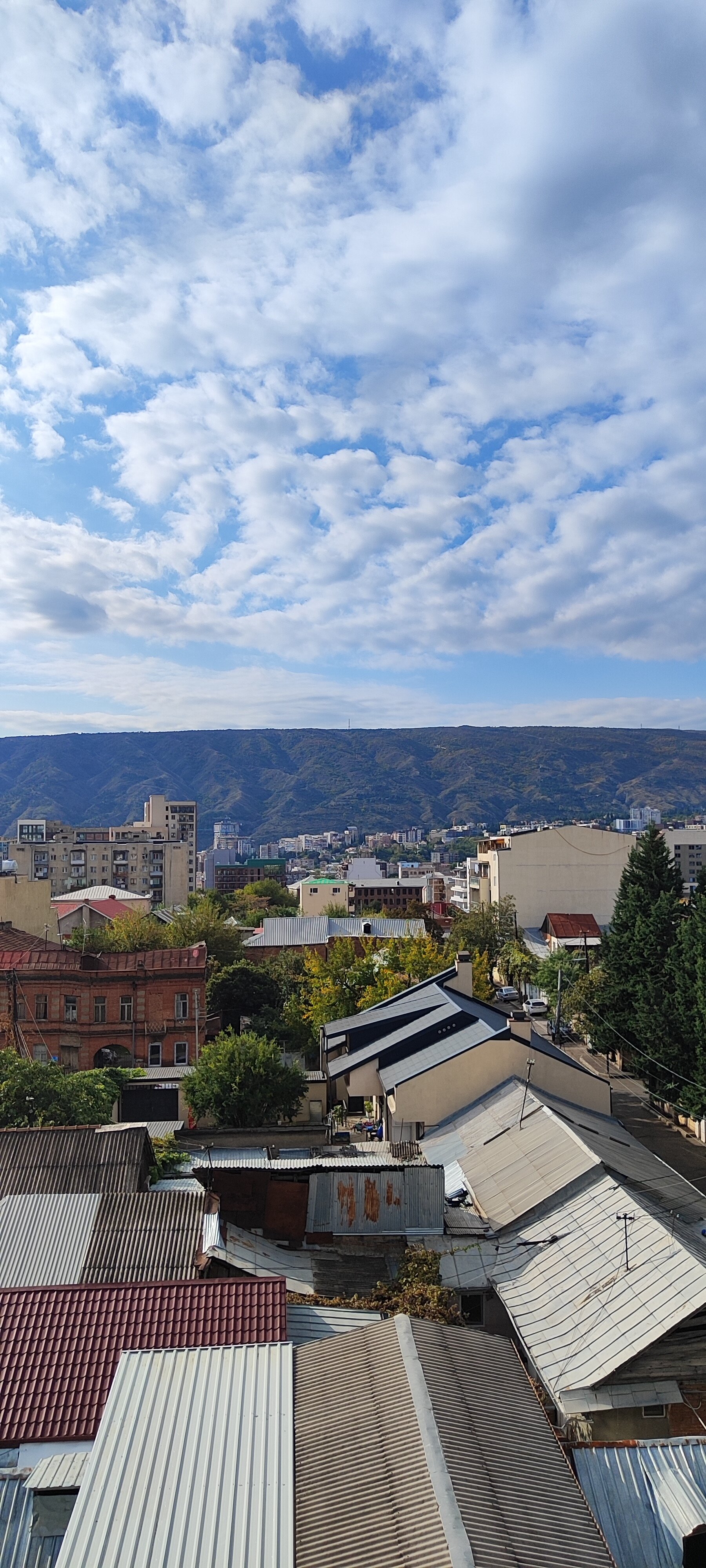 Фото Timber Boutique Hotel