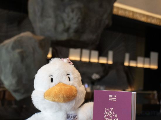 Фото Melia Chongqing