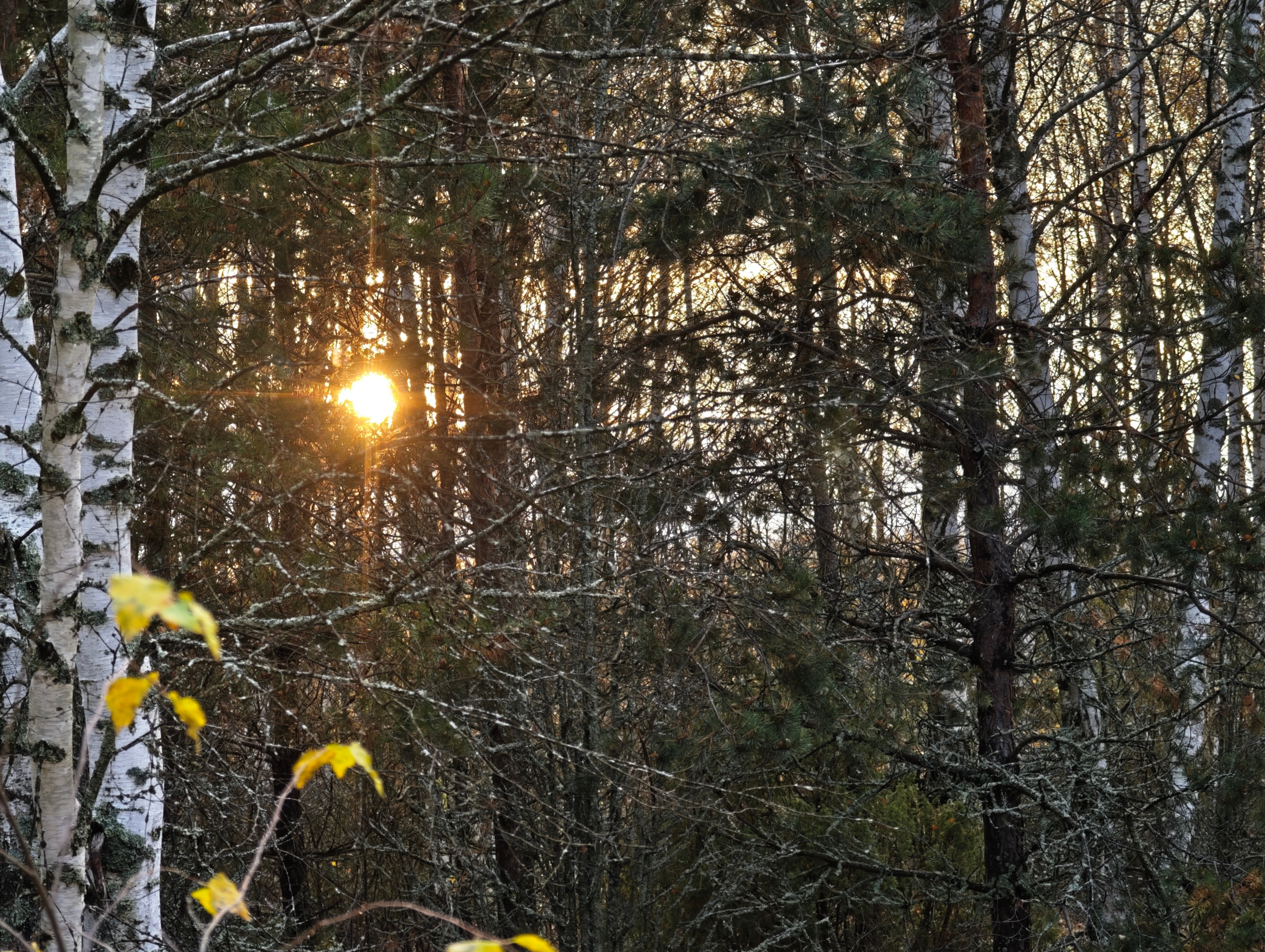 Фото Дом Варяга