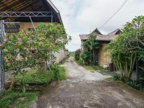 Фото Moon Bamboo