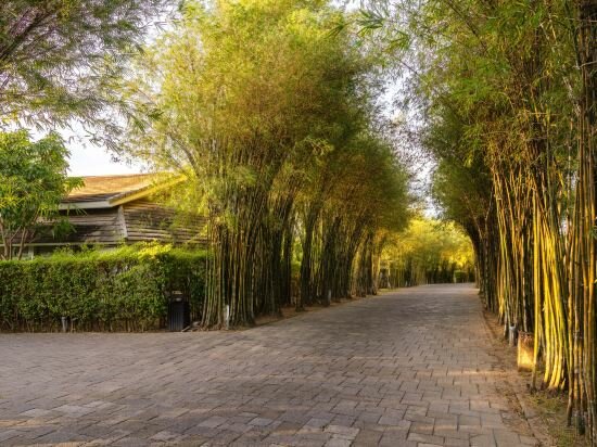 Фото The Shells Resort & SPA Phu Quoc