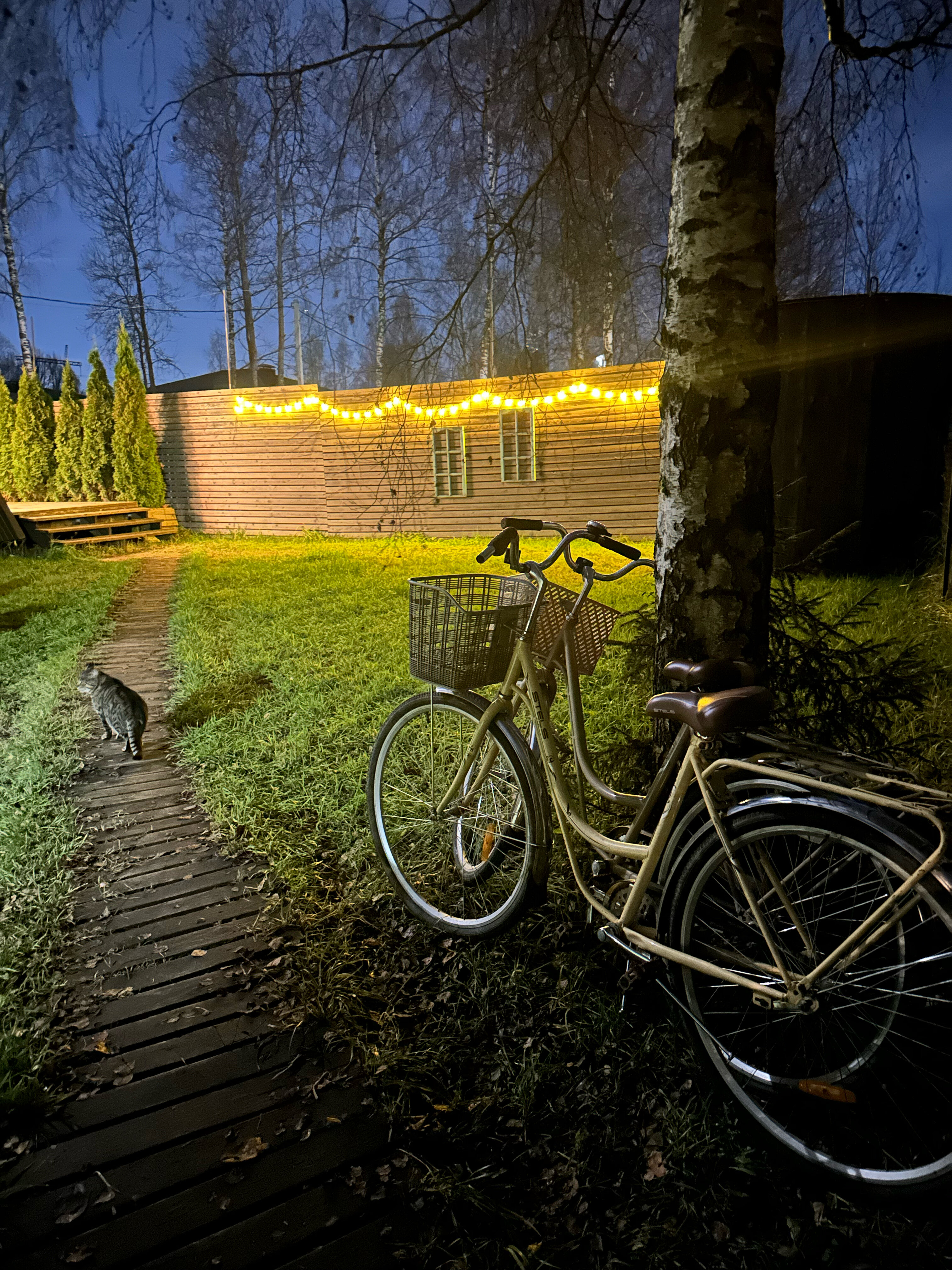 Фото Mini Bo House