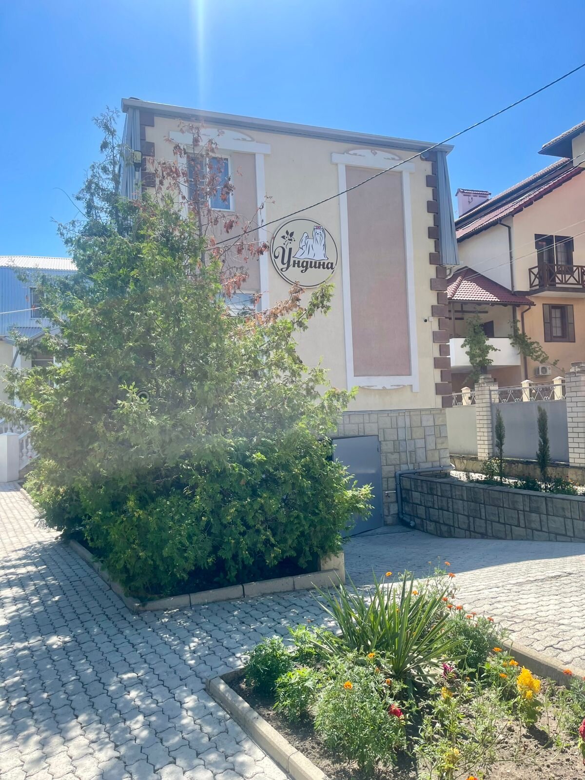 Фото Ундина