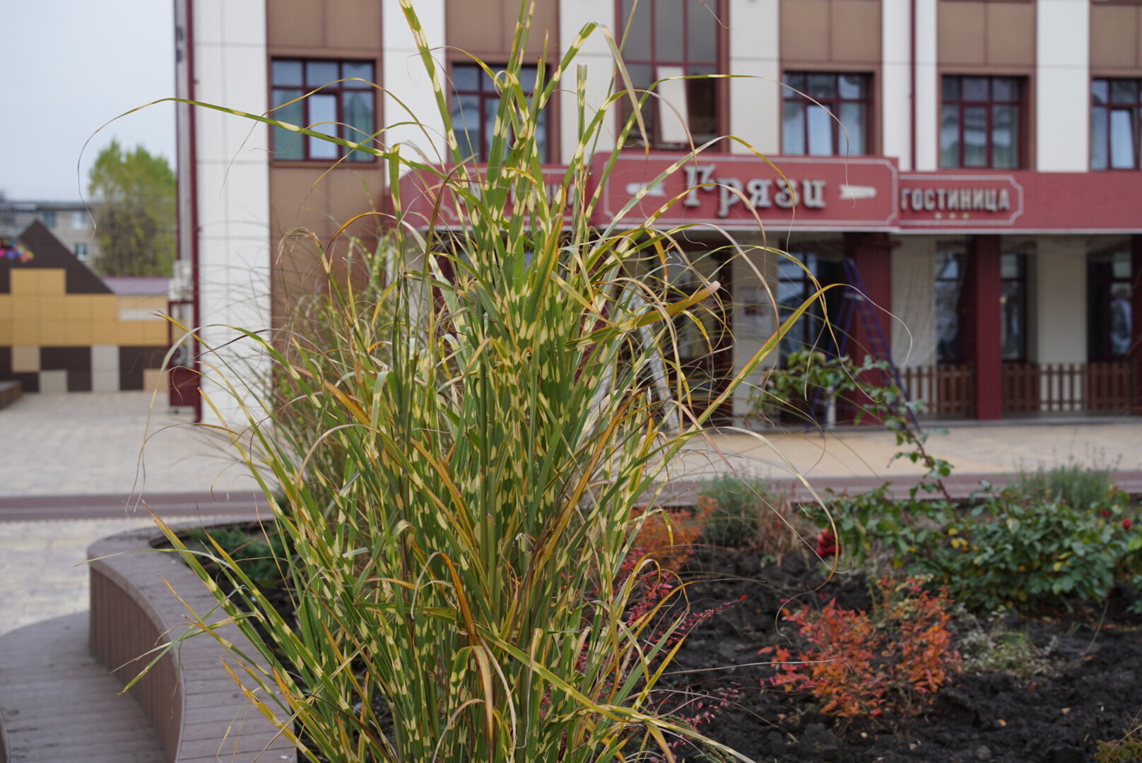 Фото Gryazi Hotel