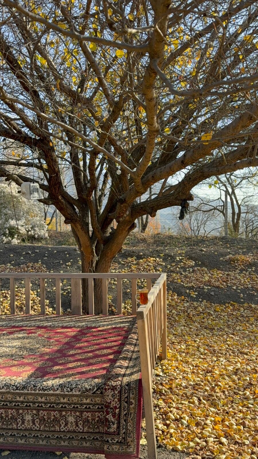 Фото Семейные домики