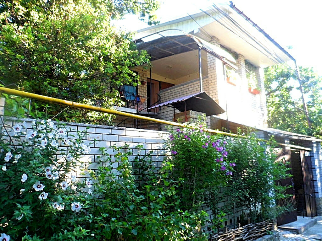 Фото У Елены