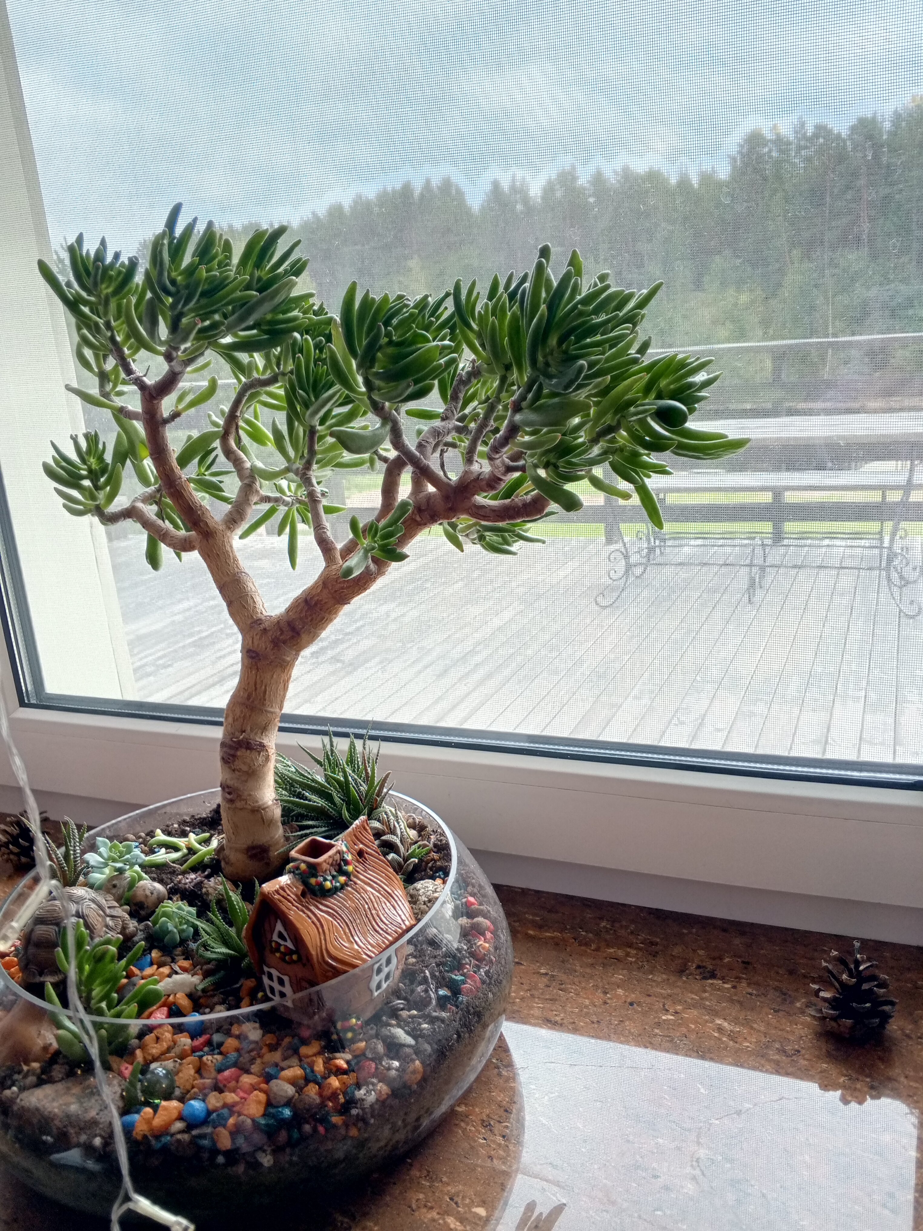 Фото Villa Vitele