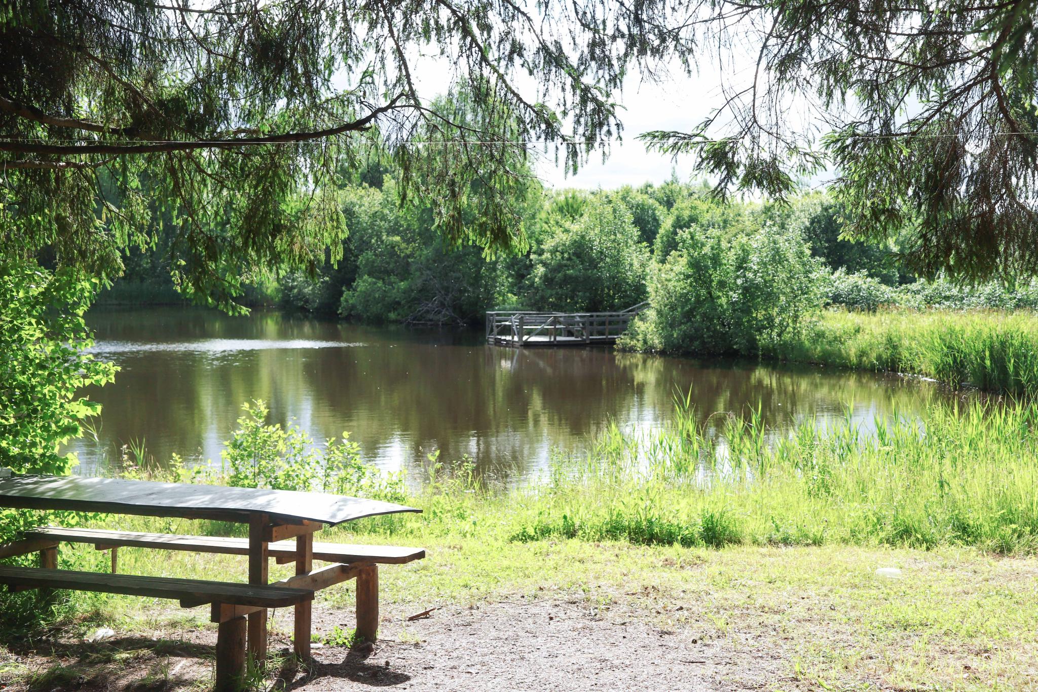 Фото Maxrooms у Плеса