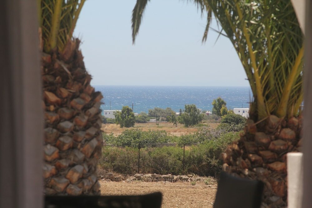 Фото Scala Apartments