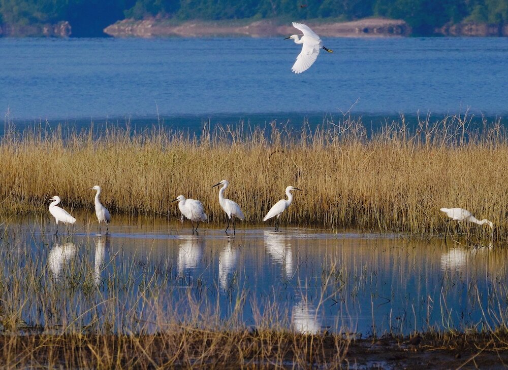 Фото Atunas Holiday Country