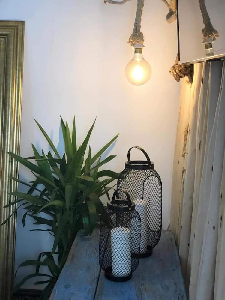 Фото Cactus Host