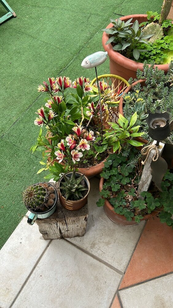 Фото Hotel Nizza