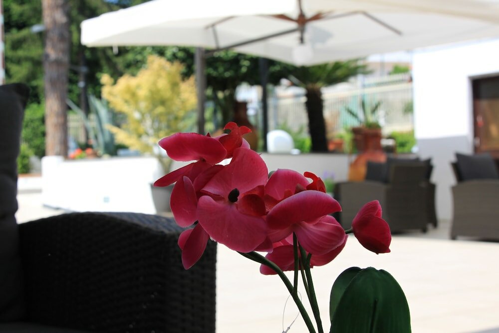 Фото Ranch Palace Hotel