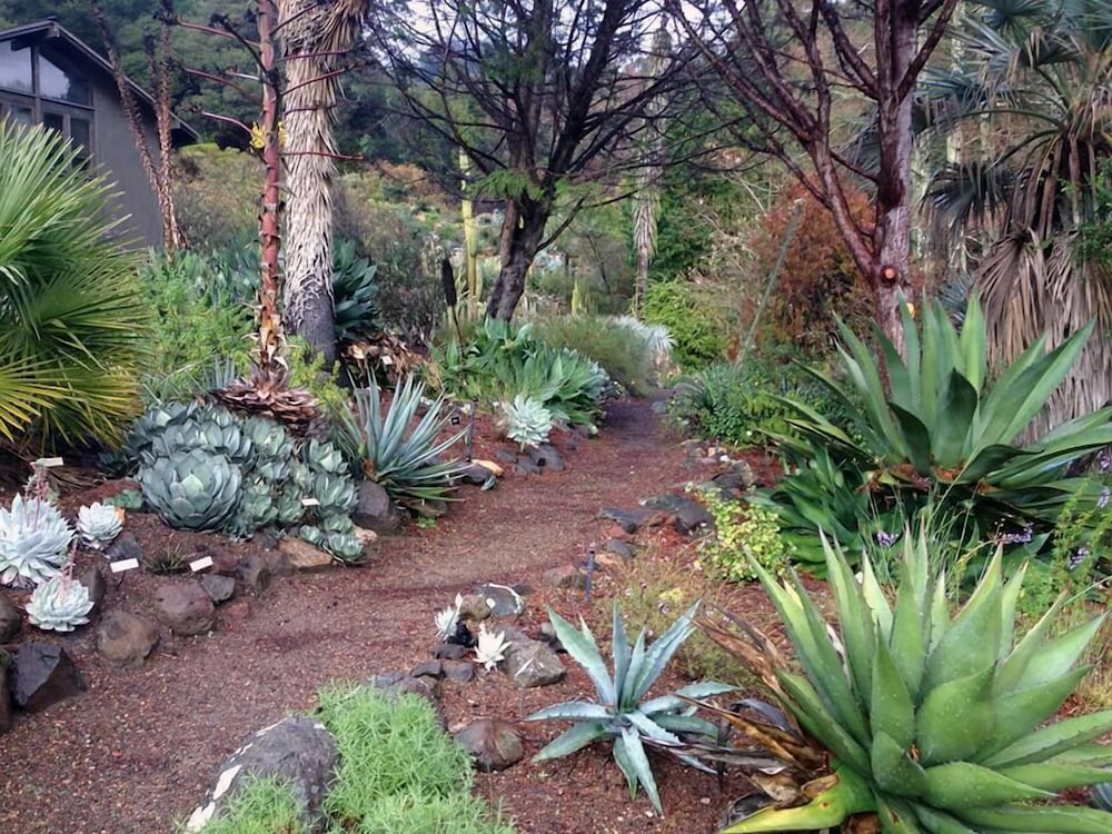 Фото Berkeley Inn